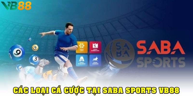 Khám Phá Saba Sport VB88 Với Tỷ Lệ Kèo Cược Đa Dạng Và Uy Tín Cá cược gì tại sảnh thể thao Saba Sport VB88?